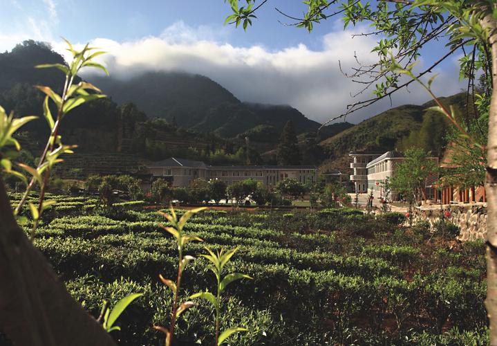西岩茶乡度假村